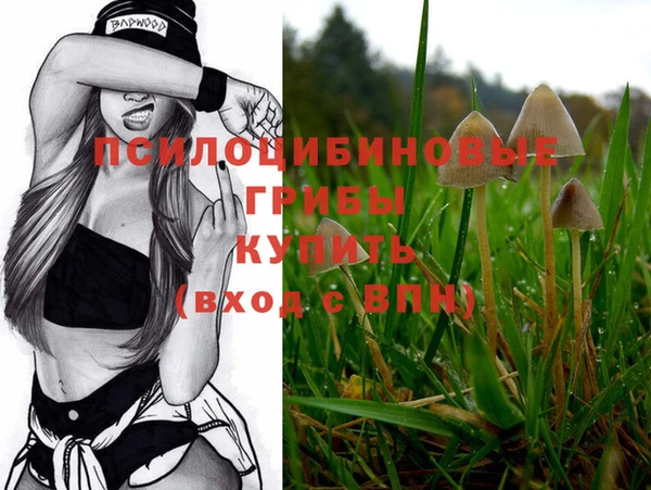MDMA Богородицк