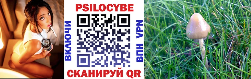 Галлюциногенные грибы мухоморы  Вязники 